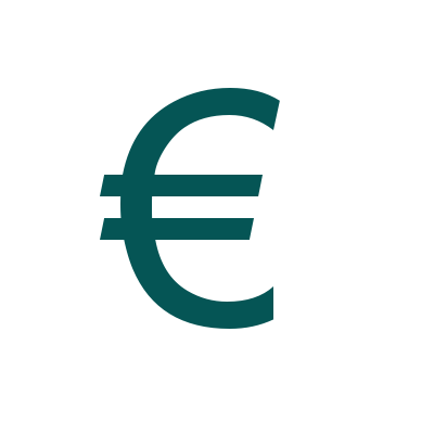 Online EDV Support